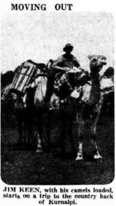 Daily News - 3 November 1934, page 17