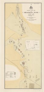 Heaphy's Find - Ida H