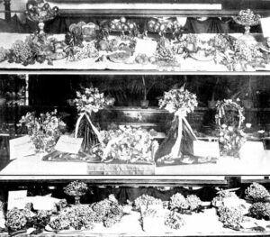 The Horticultural Soc Competition Display at the Kalgoorlie Town Hall 1910