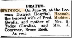 Kalgoorlie Miner 29 Jun 1923