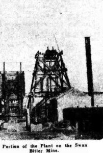 Daily News (Perth, WA : 1882 - 1955), Saturday 23 March 1935, page 8