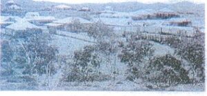 Marble Bar Township.
