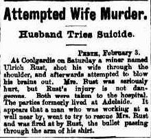 Telegraph QLD 4 February 1896, page 2