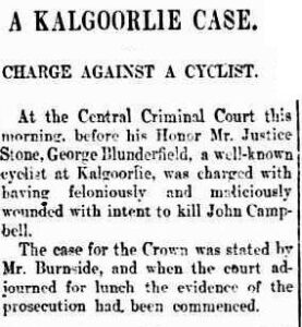 Daily News (Perth, WA : 1882 - 1950), Wednesday 15 November 1899, page 3