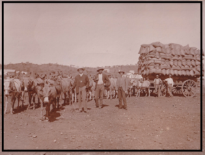 L-R Arthur Benjamin Postle -world sprint Champion and Runner- Sydney Louis Lloyd Waters - J Todd (Trainer) – Far right Arundel Waters -Leonora WA 1906