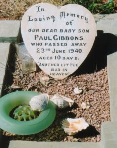 Paul J GIBBONS
