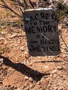 Harris Grave Milly Soak - Photo Pat Saltmarsh