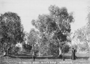 A Pretty Spot, Milly Soak, Murchison