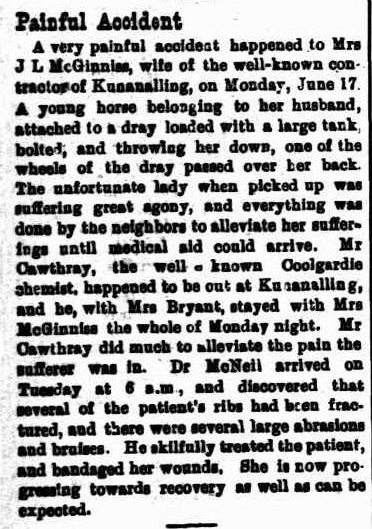 Coolgardie Miner (WA : 1894 - 1911), Monday 24 June 1901, page 2