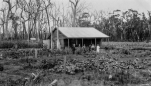 A typical returned soldiers farm in the South-West of Western Australia after World War 1