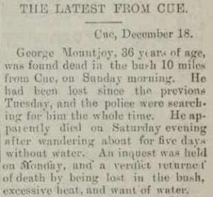 Geraldton Murchison Telegraph 20 December 1895, page 3