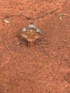 Grave markers for the Gibson Graves Kalgoorlie Cemetery