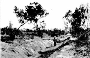 Excavating Sullivans Creek