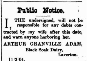 Laverton and Beria Mercury (Laverton, WA : 1899 - 1921), Friday 11 March 1904, page 3