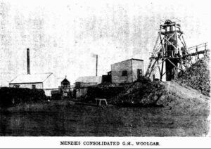 Menzies Consolidated GM, Woolgar - Woolgar Kalgoorlie Western Argus 3 December 1901, page 26