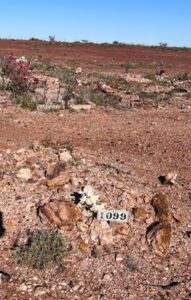 Augustus CARLSON _Photo Find a Grave