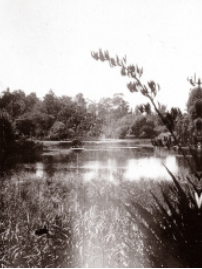 Lake on York Road
