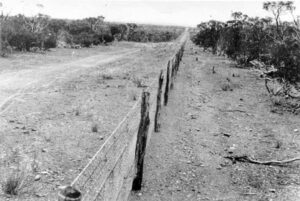 Rabbit Proof Fence - Photo SLWA