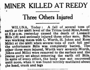 Yalgoo Observer and Murchison Chronicle (Meekatharra, WA : 1923 - 1941), Friday 6 January 1939, page 3