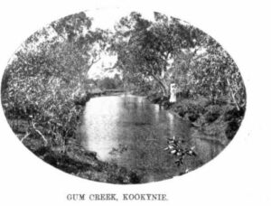 Kalgoorlie Western Argus (WA : 1896 - 1916), Tuesday 17 December 1912, page 23