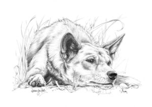 Drawing by Natalie Jane Parker