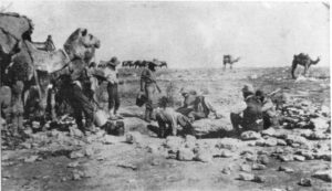 Watering Camels at a gnamma hold - Photo WA Museum