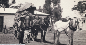All set to go - Photo SLWA