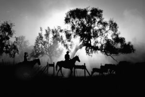 Photo Roger Garwood
