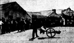 The Transport Problem Solved:Tom HANE, with mulga wheelbarrow, which he pushed with all his gear from Coolgardie to Cue in 1894.