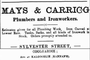 Coolgardie Pioneer 4 March 1896, page 16