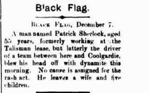 Coolgardie Pioneer (WA : 1895 - 1901), Saturday 12 December 1896, page 14
