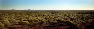 Landscape at Yuin – Shire of Yalgoo