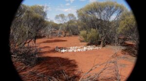 Grave of William Heron - Photo Outback Graves