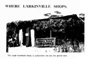 Larkinville store Western Mail 12 February 1931, page 43.