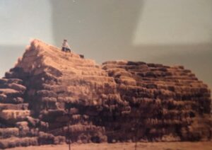 A Giant Haystack - Photo Helen Anstrad