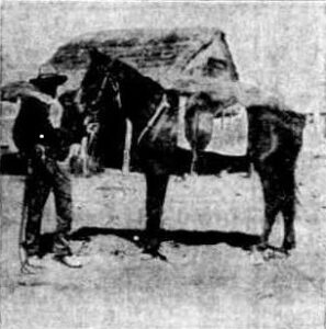 Inured to the hardships and dangers of Central Australia - Mr. Frank Green, a stock-man in that area, who is a member of thenew expedition.