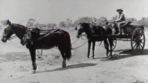 On the road by horse and cart - Photo SLWA