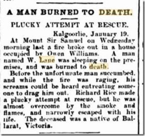 Western Mail (Perth, WA : 1885 - 1954), Saturday 23 January 1909, page 11