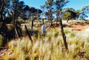 View of Sir Samuel Cemetery - Photo Andrea Lewis