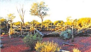 Tommy's horse yard at Blue Hills 1998 - Photo Yvonne Coate