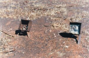 Two unknown graves - Photo Danelle Warnock
