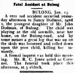 Kalgoorlie Western Argus (WA : 1896 - 1916), Tuesday 15 January 1901, page 15