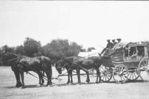 Frederick Crews driving a coach in Renmark SA - Photo Ancestry.com