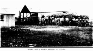 Coote and Maley Brewery, Lawlers