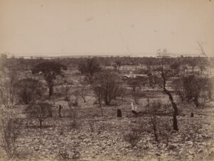 View over the town of 90 Mile also known as Goongarrie, ca.1896 - Photo SLWA