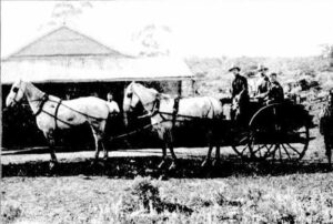 A tandem buggy at Mulgabbie on the Pinjin Road - Photo TROVE