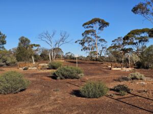 View of Paddington Cemetery - Photo Danelle Warnock