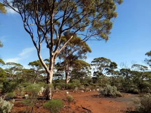 Ora Banda Cemetery