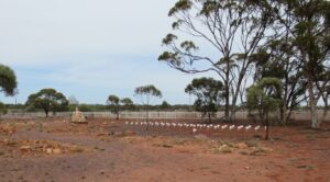 Coolgardie Pioneer cemetery today with individual plaques places by outbackgraves.org
