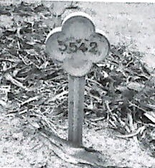 Sadie's Grave - Kalgoorlie Cemetery.